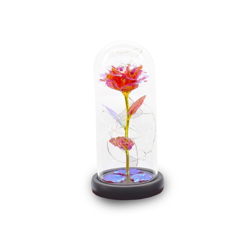 Beauty and the beast eternal enchanted rose flower in a glass jar with multicolored LED lightings with 3 modes. for valentins day